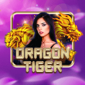fbm play Dragon Tiger