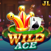 fbm play Wild Ace